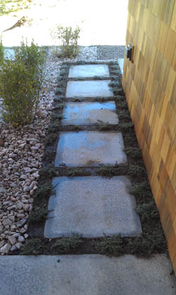 46 North Landscape & Design