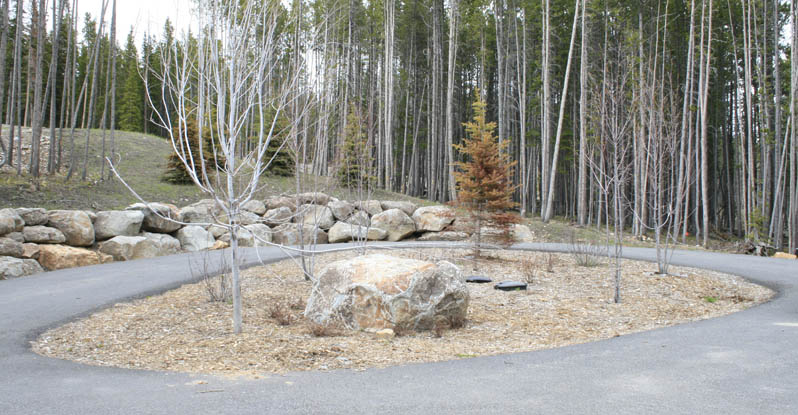 46 North Landscape & Design