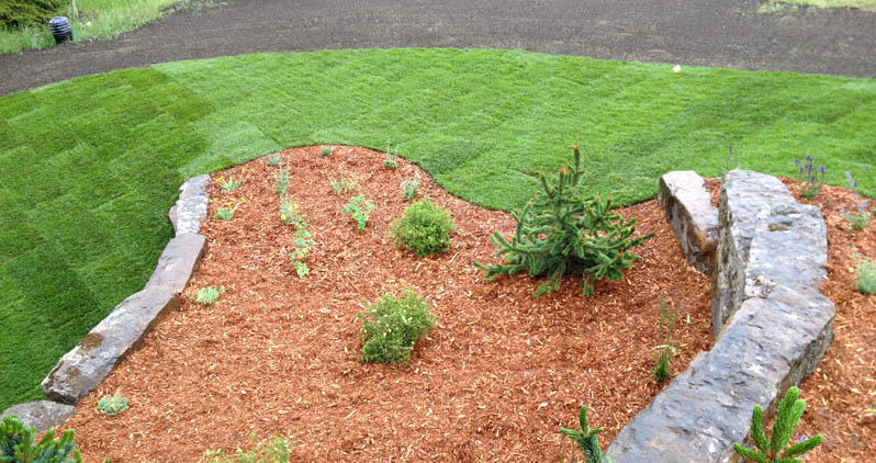46 North Landscape & Design