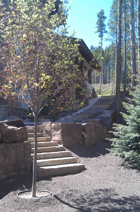 46 North Landscape & Design