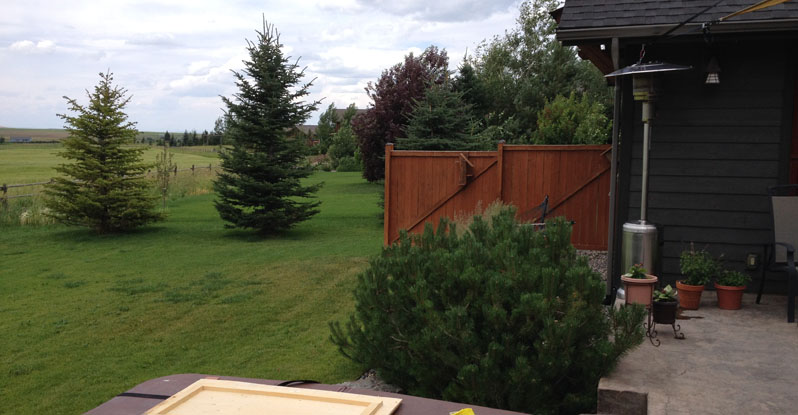 46 North Landscape & Design